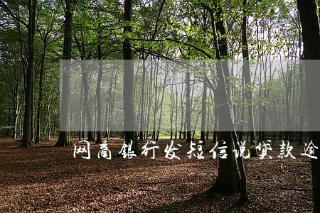 网商银行发短信说贷款逾期 网商银行发短信说贷款逾期