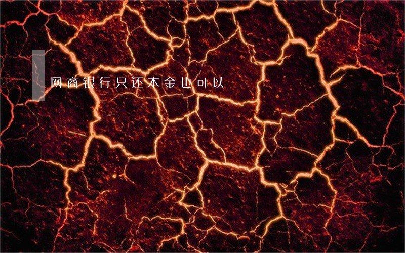 网商银行只还本金也可以 网商银行只还本金也可以