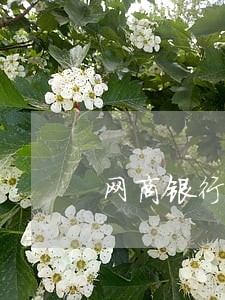 网商银行周期贷款逾期 网商银行周期贷款逾期