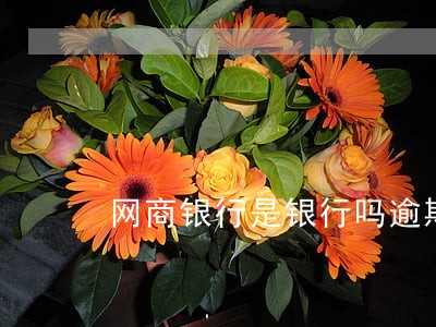 网商银行是银行吗逾期会抓人吗