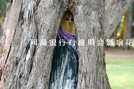 网商银行有逾期会影响花呗吗