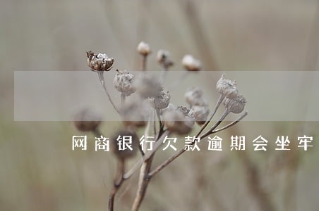 网商银行欠款逾期会坐牢吗