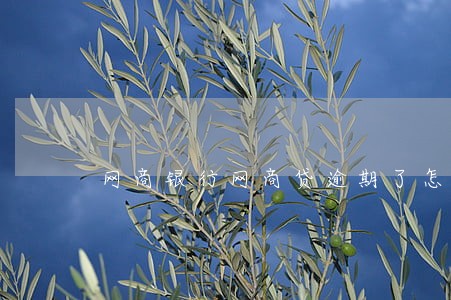 网商银行网商贷逾期了怎么办 网商银行网商贷逾期了怎么办