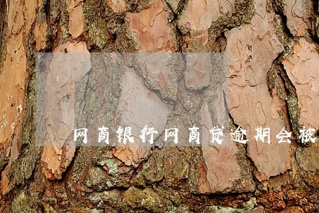 网商银行网商贷逾期会被起诉吗 网商银行网商贷逾期会被起诉吗