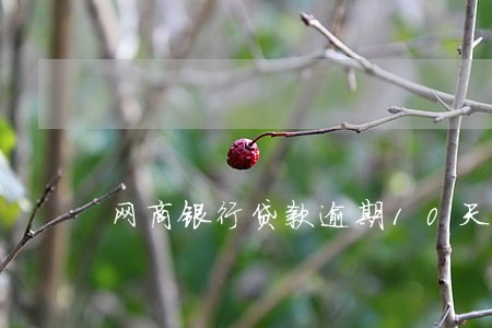 网商银行贷款逾期10天 网商银行贷款逾期10天