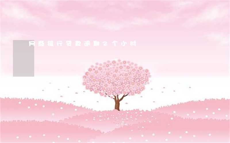 网商银行贷款逾期2个小时