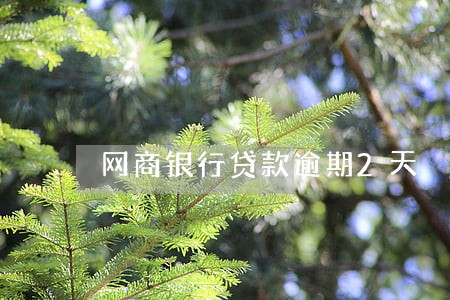 网商银行贷款逾期2天 网商银行贷款逾期2天