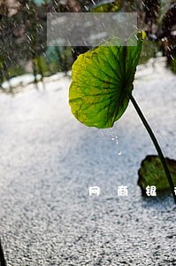 网商银行贷款逾期上门催收 网商银行贷款逾期上门催收