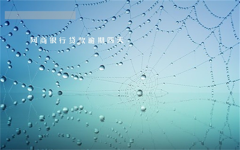 网商银行贷款逾期四天 网商银行贷款逾期四天