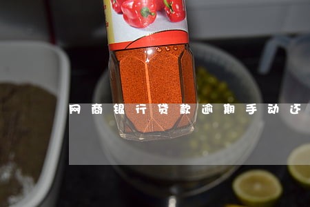 网商银行贷款逾期手动还款 网商银行贷款逾期手动还款