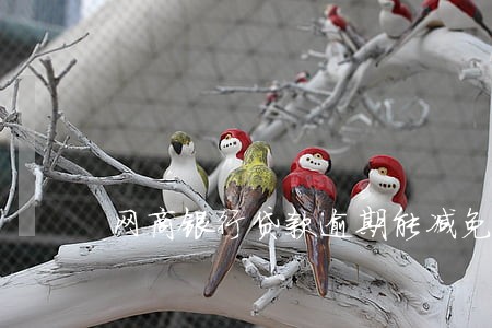 网商银行贷款逾期能减免吗
