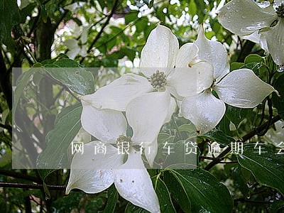 网商银行车贷逾期车会被收走吗 网商银行车贷逾期车会被收走吗