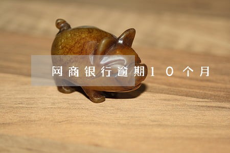 网商银行逾期10个月 网商银行逾期10个月
