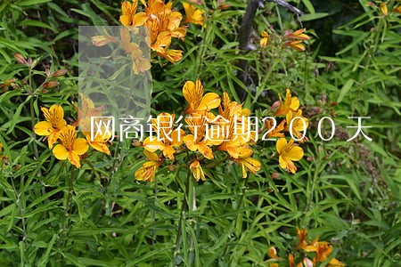 网商银行逾期200天 网商银行逾期200天