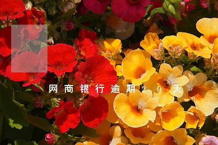 网商银行逾期20天 网商银行逾期20天