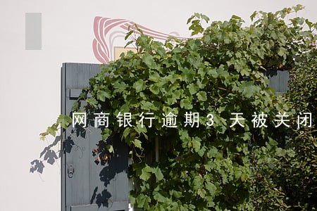 网商银行逾期3天被关闭 网商银行逾期3天被关闭