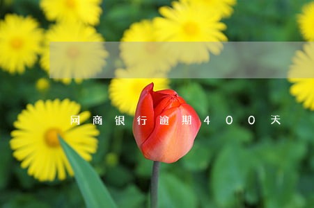 网商银行逾期400天 网商银行逾期400天