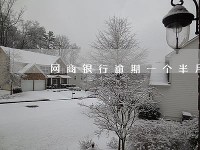 网商银行逾期一个半月
