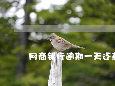 网商银行逾期一天还款