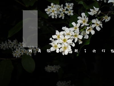 网商银行逾期了会打电话催吗 网商银行逾期了会打电话催吗