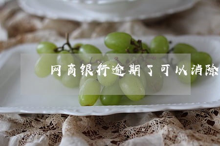网商银行逾期了可以消除吗