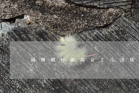 网商银行逾期会上几次征信记录