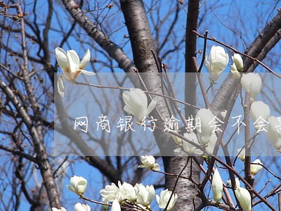 网商银行逾期会不会黑名单