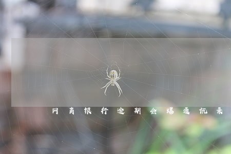 网商银行逾期会爆通讯录 网商银行逾期会爆通讯录