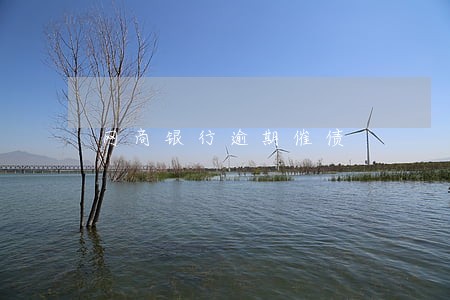 网商银行逾期催债 网商银行逾期催债