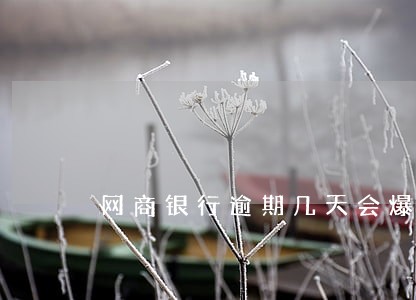 网商银行逾期几天会爆通讯录 网商银行逾期几天会爆通讯录