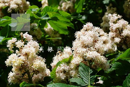 网商银行逾期十万两年 网商银行逾期十万两年
