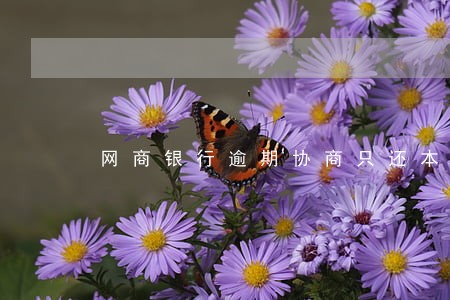 网商银行逾期协商只还本金 网商银行逾期协商只还本金