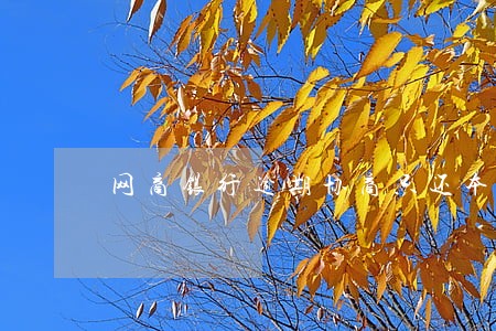 网商银行逾期协商只还本金吗