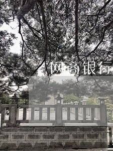 网商银行逾期后会上门吗
