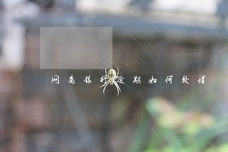 网商银行逾期如何处理