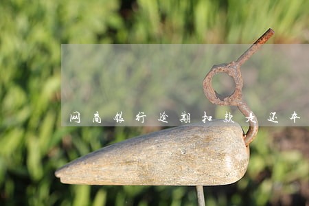 网商银行逾期扣款是还本金吗 网商银行逾期扣款是还本金吗