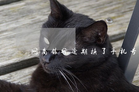 网商银行逾期换了手机号 网商银行逾期换了手机号