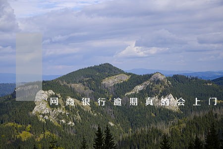 网商银行逾期真的会上门走访吗 网商银行逾期真的会上门走访吗