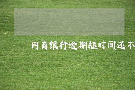 网商银行逾期短时间还不上 网商银行逾期短时间还不上