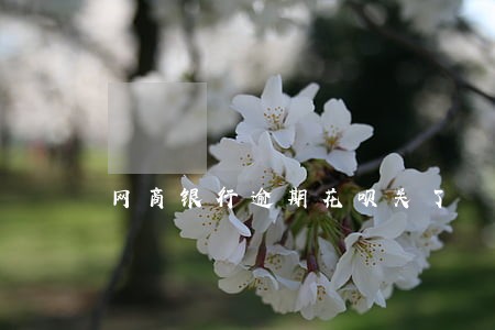网商银行逾期花呗关了 网商银行逾期花呗关了