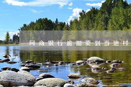网商银行逾期要到当地村委走访吗