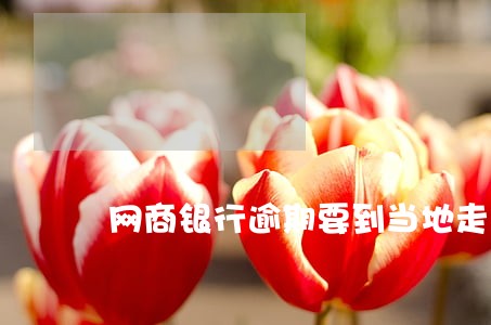 网商银行逾期要到当地走访调查 网商银行逾期要到当地走访调查