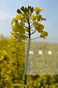 网商银行逾期要家访 网商银行逾期要家访