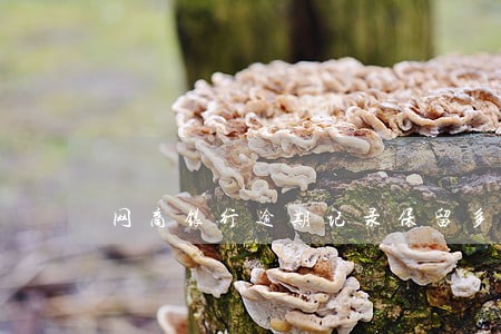 网商银行逾期记录保留多久 网商银行逾期记录保留多久