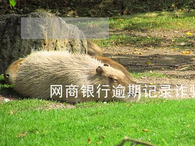 网商银行逾期记录诈骗 网商银行逾期记录诈骗