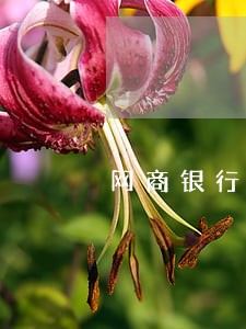 网商银行逾期说去老家外访 网商银行逾期说去老家外访