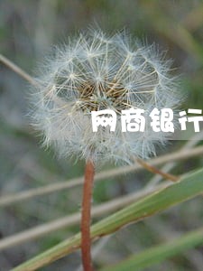 网商银行逾期说来访
