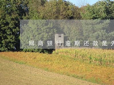 网商银行逾期还款是先本后息 网商银行逾期还款是先本后息