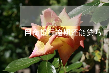 网商银行逾期还能贷吗