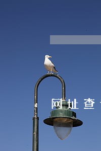 网址查询征信逾期 网址查询征信逾期